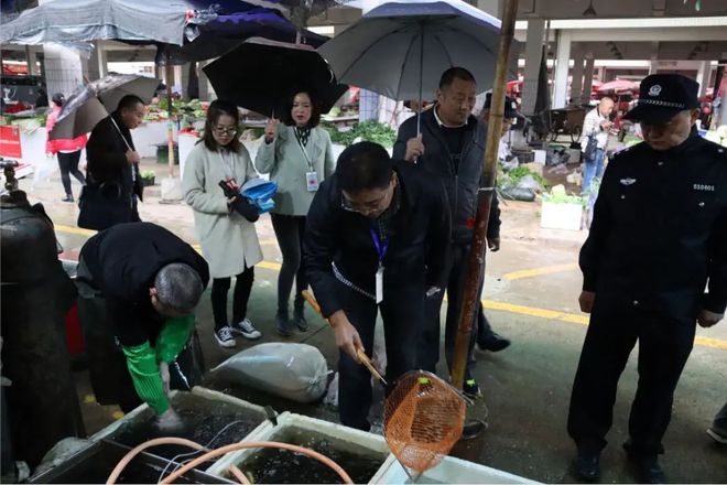 臺釣鯽魚用什么鉤最佳_鉤鯽魚最佳用臺釣方法_鉤鯽魚最佳用臺釣還是臺釣