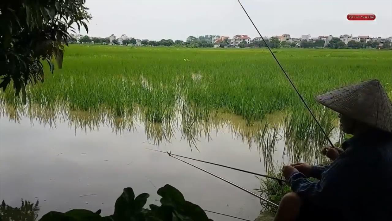 臺釣游戲app推薦_臺釣釣魚游戲_臺釣小游戲