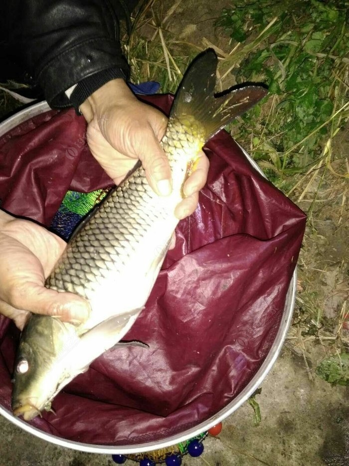 魚漂線怎么綁_怎么綁魚鉤魚線魚漂_釣魚線漂的綁法
