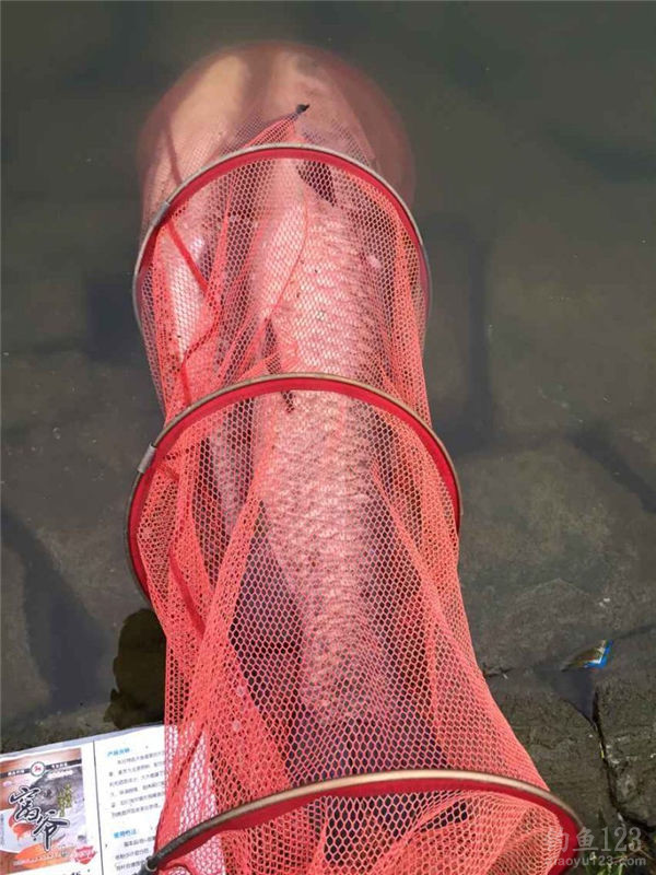 夏天釣深水還是釣淺水_夏天釣深水魚是不是會大一點_夏天釣魚釣深水還是淺水