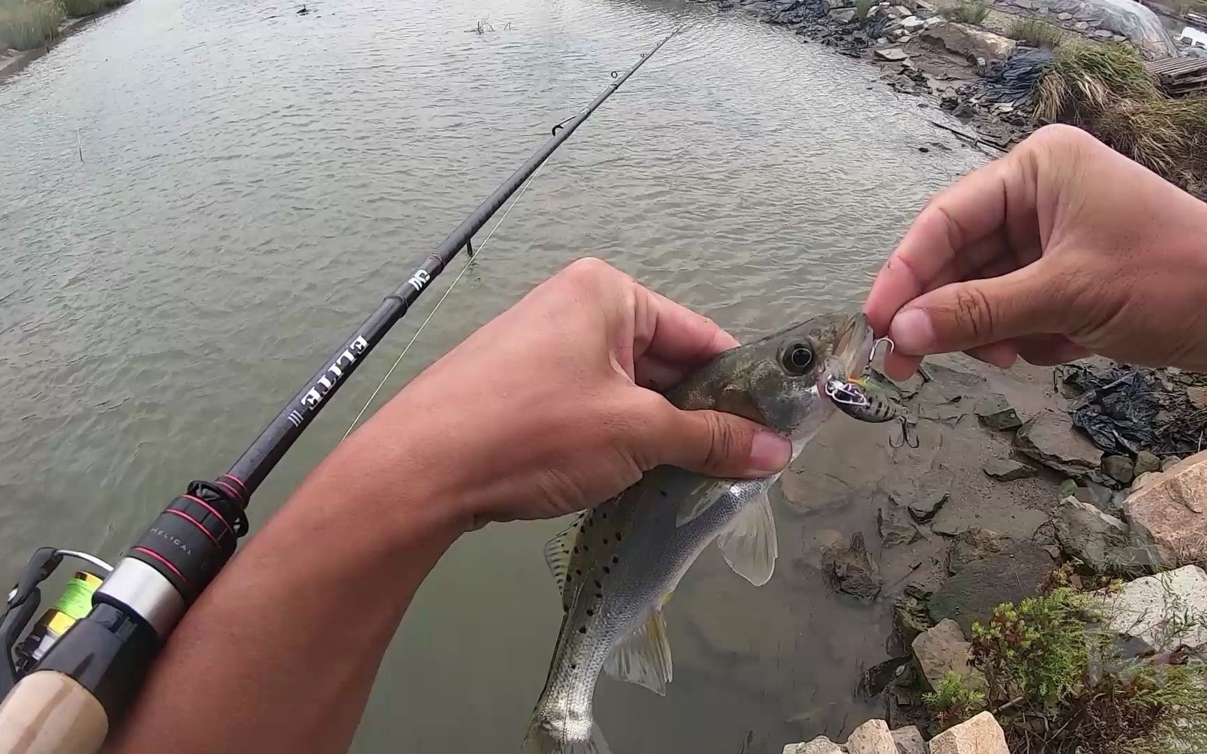 鱸魚海釣路亞怎么調漂_海釣鱸魚路亞_海鱸魚路亞
