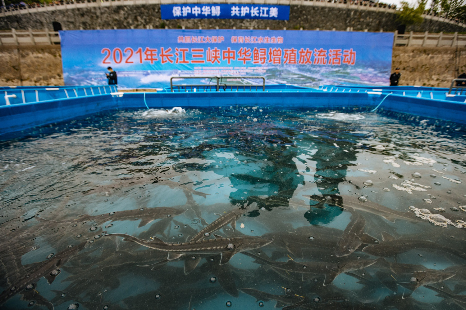 株洲釣魚的好地方_株洲有那些地方好釣魚_株洲釣魚的地方