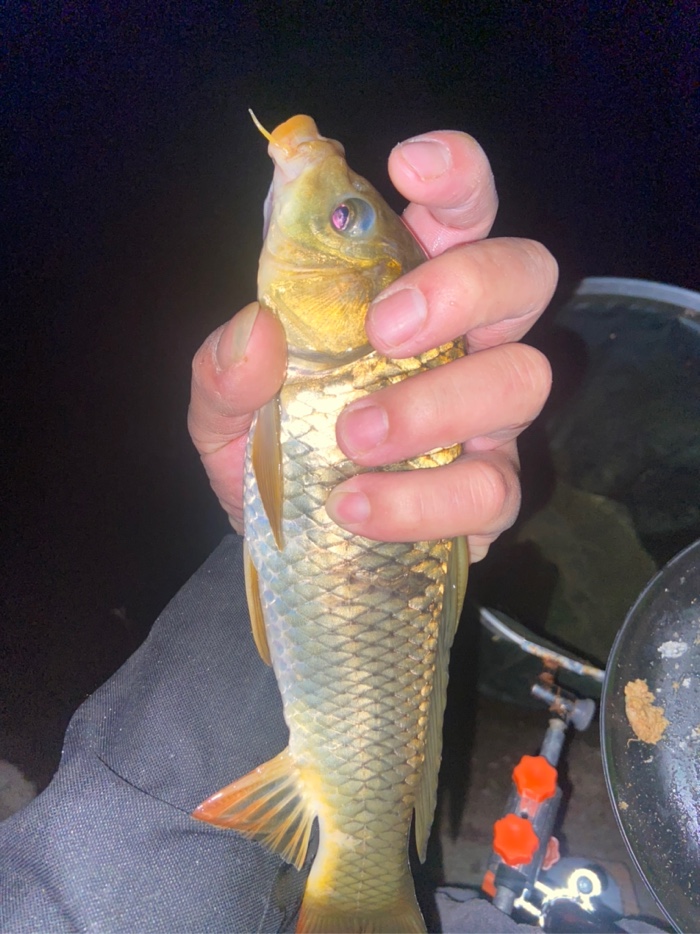 夏天釣魚釣深釣淺_夏天釣魚釣深水還是淺水_夏天釣深水魚是不是會大一點