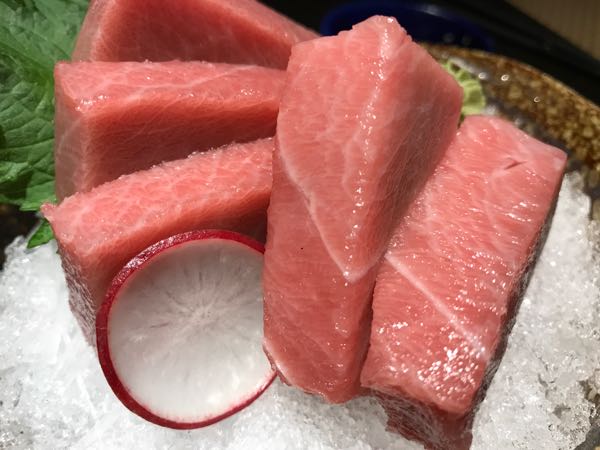 藍鰭金槍魚1000萬_藍鰭金槍魚多錢一斤_藍鰭金槍魚auv