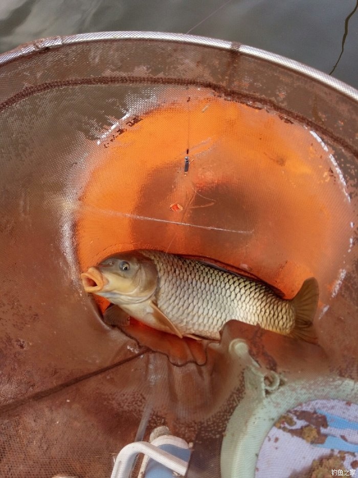 路亞海釣鱸魚視頻_釣海鱸魚路亞釣組_海釣鱸魚路亞