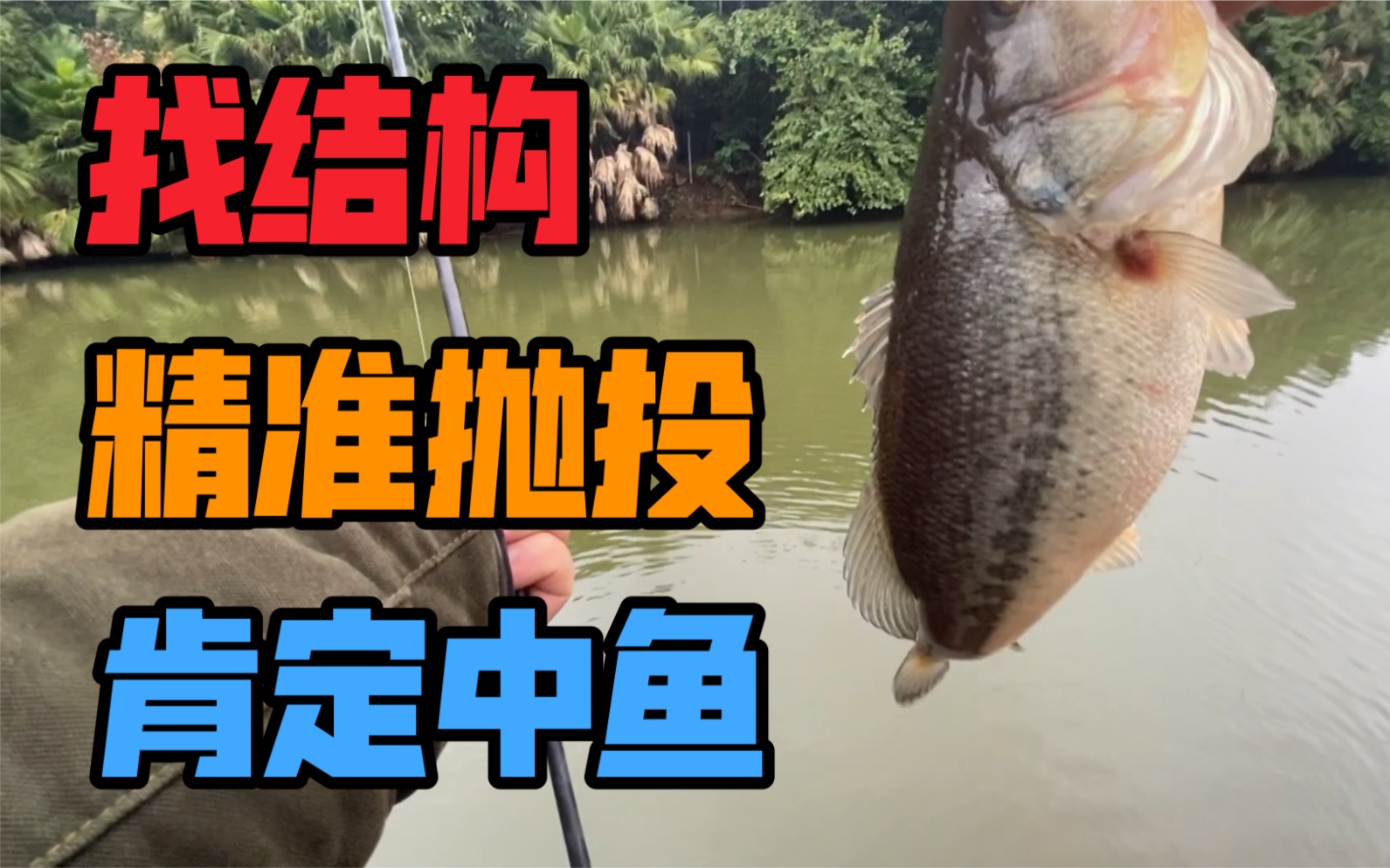路亞海釣鱸魚視頻_釣海鱸魚路亞釣組_海釣鱸魚路亞