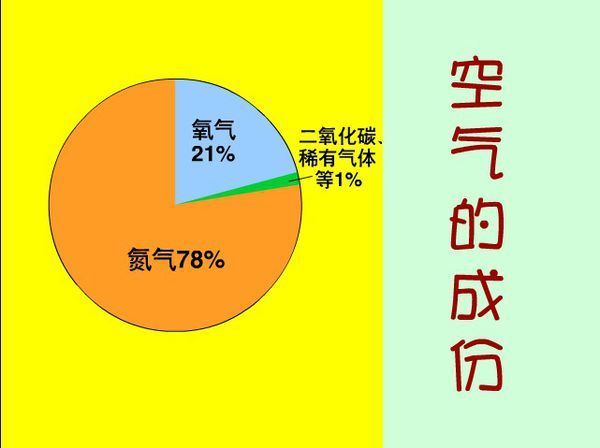 沼蝦的呼吸器官是什么_人體器官呼吸器官是哪個_呼吸器官叫什么