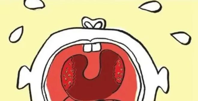 蝦靠什么呼吸_蝦靠什么呼吸_蝦靠什么呼吸