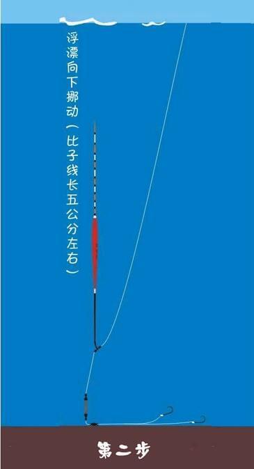 釣魚家協會原神_釣魚之家_釣魚家里自制魚食