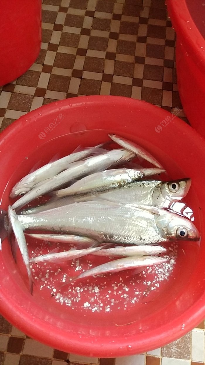 釣魚調漂怎么調漂_釣魚方法調漂圖解_釣魚調漂方法