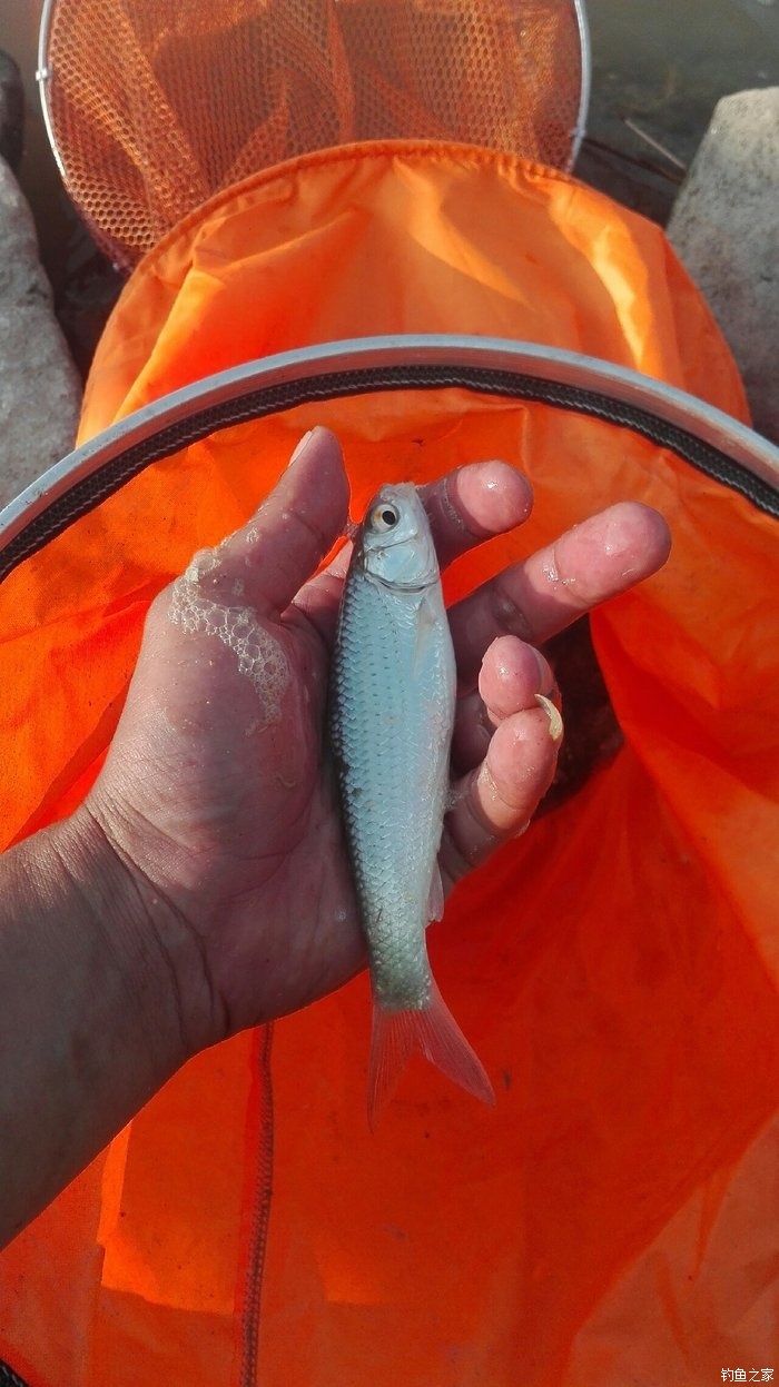 釣魚調漂方法_釣魚調漂怎么調漂_釣魚方法調漂圖解