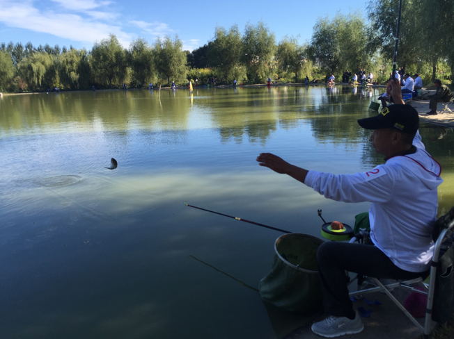 榆樹哪里可以釣魚_榆樹有那些地方好釣魚_榆樹釣魚的水庫