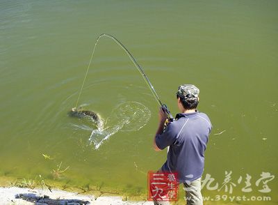 海釣沉底釣什么樣的鉤組合適_海釣沉底釣魚技巧_海釣技巧沉底釣