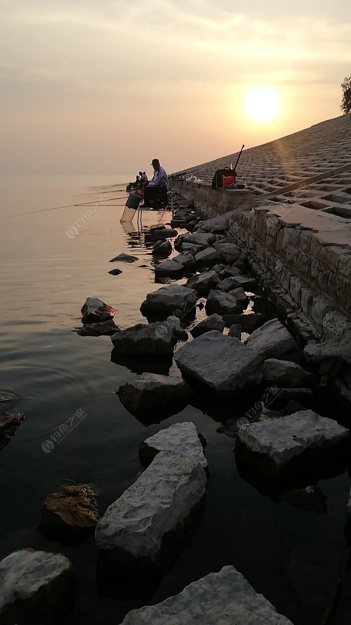 caa釣魚協會總教練_中國釣魚協會總教練什么級別_釣魚協會教練名單