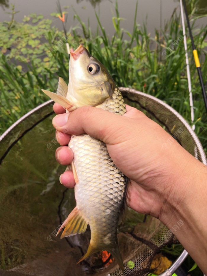 贛州有那些地方好釣魚_贛州野釣地點_贛州釣魚的地方