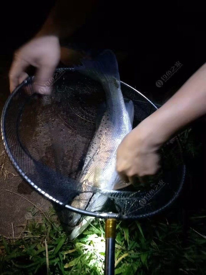 沙河魚怎么釣_沙河釣魚網_沙河釣魚怎么調漂