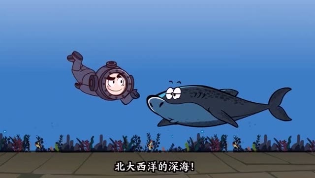 格陵蘭鯊魚的故事_格陵蘭鯊是什么鯊魚_格陵蘭鯊魚為什么長壽