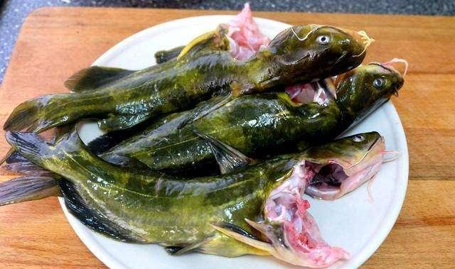 草魚刺分布圖_草魚刺多嗎_草魚刺多還是鯉魚刺多