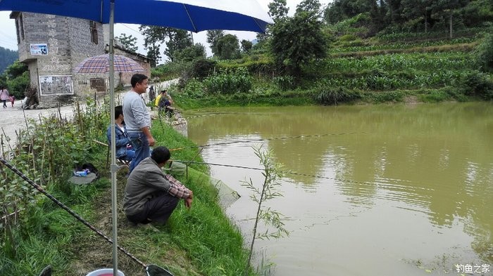 美團上海總部工資待遇_下雨天釣魚魚口好嗎_赤壁釣魚網
