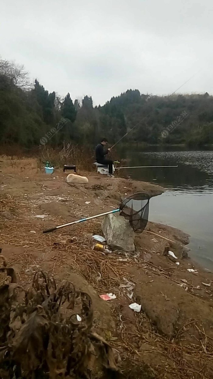 創維冰箱怎樣調節溫度_赤壁釣魚網_早孕可以墮胎嗎