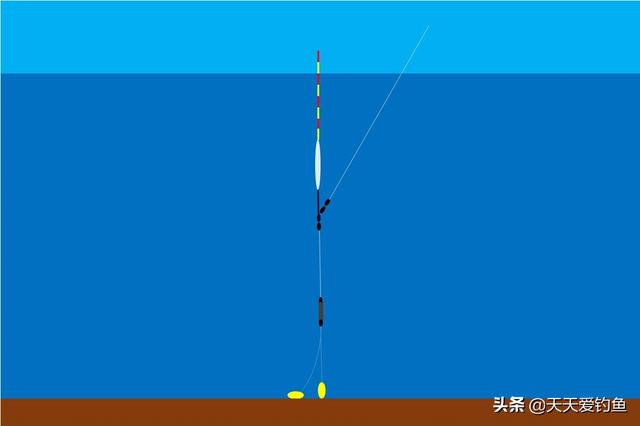西枝江上游什么位置好釣魚_惠州西枝江釣魚能吃嗎_枝江釣魚網