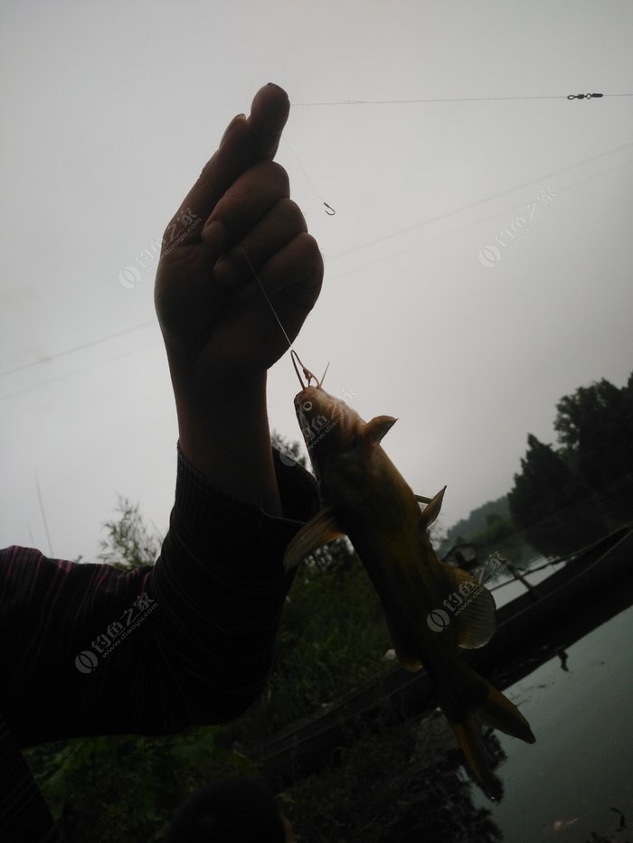 釣魚春季最佳時間是幾點_春季釣魚的最佳時間_釣魚春季最佳時間是幾月份