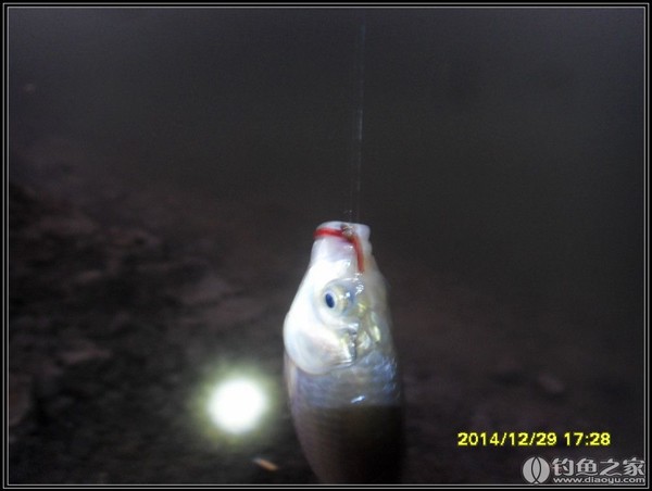 春季釣魚的最佳時間_釣魚春季最佳時間是幾月份_釣魚春季最佳時間是幾點