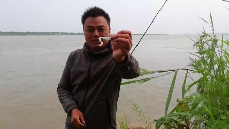 四海釣魚頻道官網_四海釣魚衛視_四海釣魚頻道停播