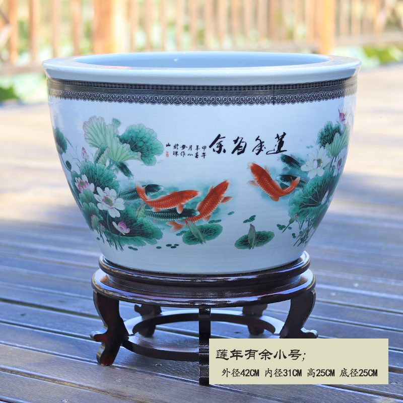 觀賞魚是什么魚_觀賞魚魚類_觀賞魚是指