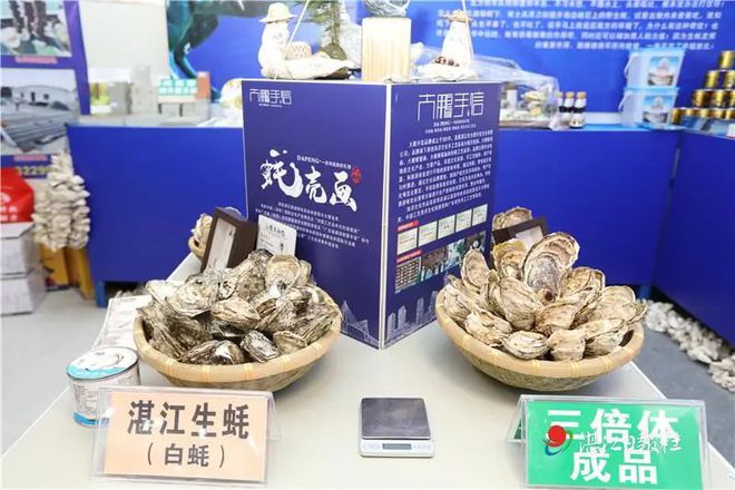 生蠔怎么保存_保存生蠔的鹽水比例_保存生蠔要放水嗎