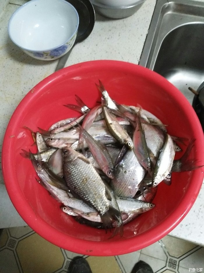 冬季釣鯽魚餌料搭配_冬季釣鯽魚餌料搭配技巧_釣冬季鯽魚餌料搭配大全