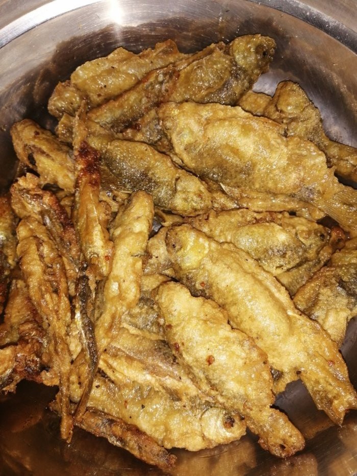 刺鰍是泥鰍嗎_刺鰍魚生活在什么地方_刺鰍是什么魚