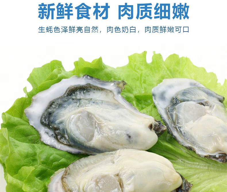 新鮮保存生蠔能放多久_新鮮保存生蠔能放幾天_生蠔怎么保存最新鮮