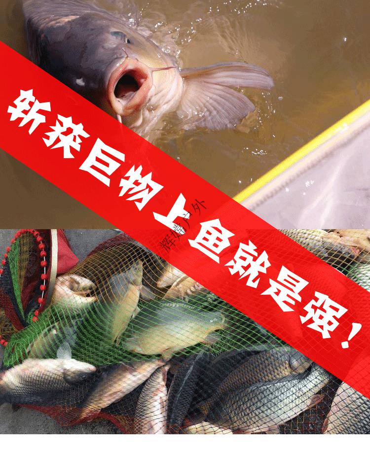 胡說筏釣毛毛蟲好用嗎_胡說筏釣毛毛蟲好用嗎_胡說筏釣毛毛蟲好用嗎
