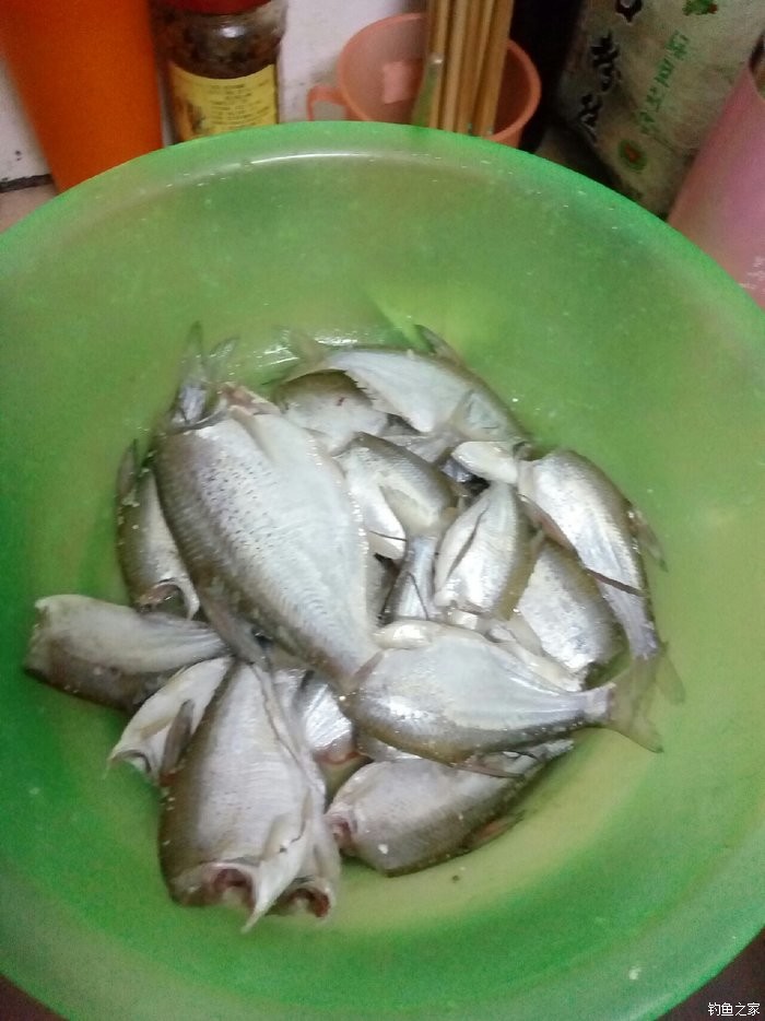 胡說筏釣毛毛蟲好用嗎_胡說筏釣毛毛蟲好用嗎_胡說筏釣毛毛蟲好用嗎