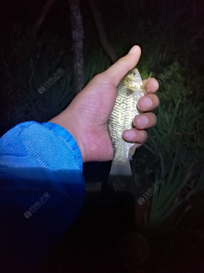 2020船釣視頻_船釣海釣視頻大全_釣海魚視頻捕魚船