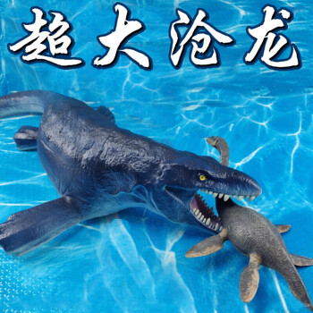 龍利魚是海魚嗎_龍利魚是海魚嗎有什么營養_龍利魚是海魚河魚