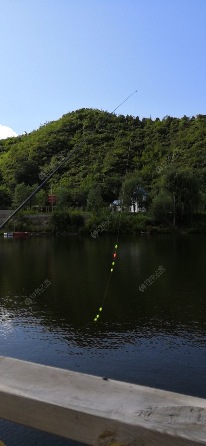 燈塔釣魚的地方_燈塔野釣哪里有_燈塔有那些地方好釣魚
