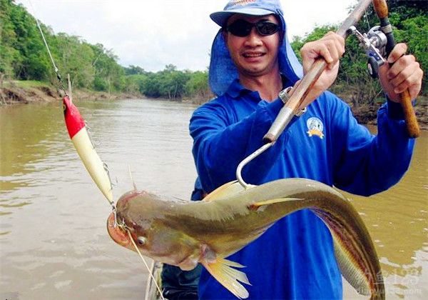 海竿釣草魚視頻大全_釣視頻大全草魚海竿圖片_釣視頻大全草魚海竿教程