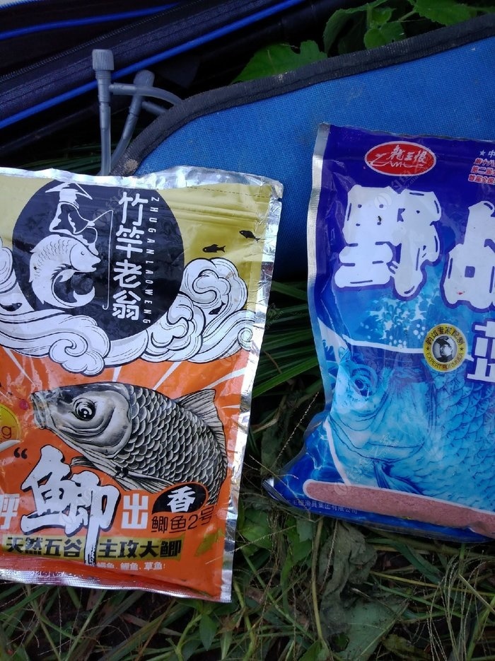 如何野釣鯽魚_鯽魚野釣釣法_鯽魚野釣好用耐用實用餌料