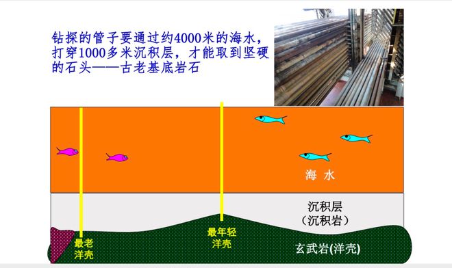 海底米生物_生物底改主要成分_米底河項目開發