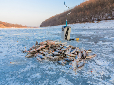 冬天釣鯽魚的方法和技巧視頻_冬天鯽魚怎么釣_冬天釣魚技巧野釣鯽魚