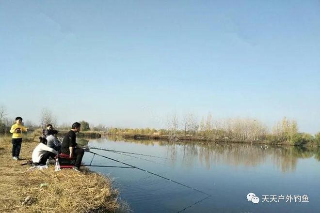 冬天釣魚技巧野釣鯽魚_冬天鯽魚怎么釣_冬天釣鯽魚的方法和技巧視頻
