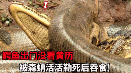 吃人魚天敵_食人魚的天敵是什么魚_食人魚的天敵是什么