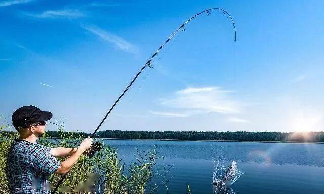 傳統野釣草魚視頻_釣草魚視頻野釣實戰_草魚釣魚視頻