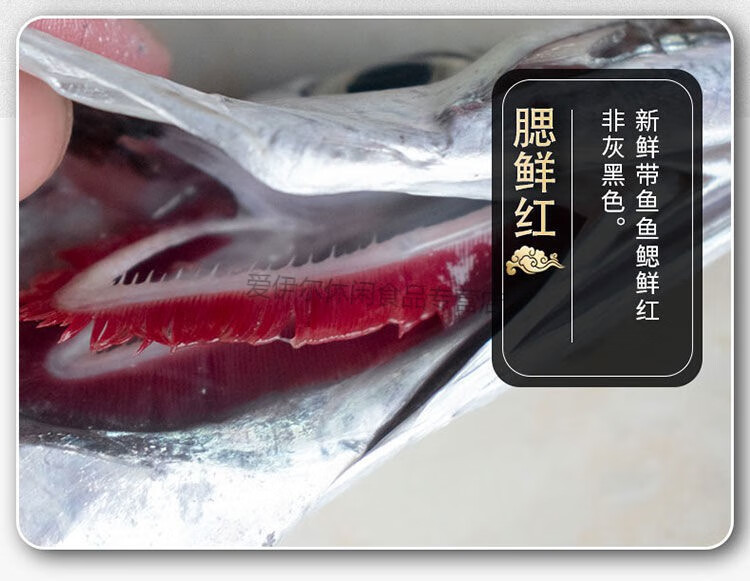 帶魚產地在哪里_帶魚哪里產_帶魚產地及價格區別