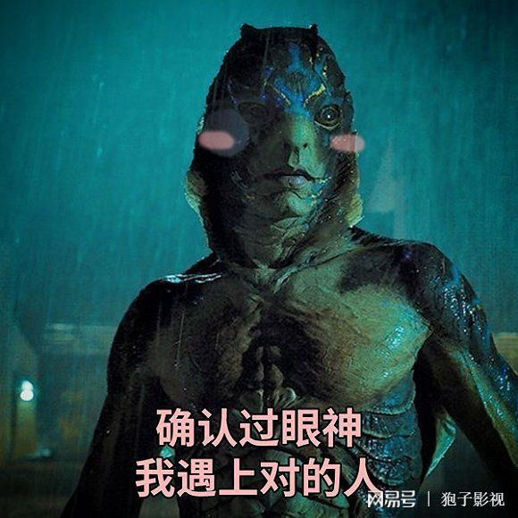 食人魚是什么魚_人魚吃魚_食人魚進食