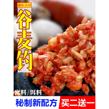 釣鯉魚紅薯餌料配方_釣鯉魚魚餌配方紅薯_釣鯉魚紅薯配方魚餌怎么配