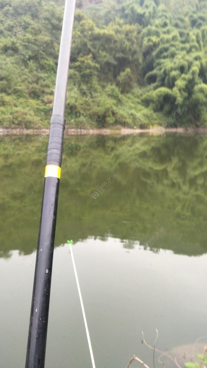 釣竿硬調_魚桿19釣28調哪個硬_硬調竿什么意思