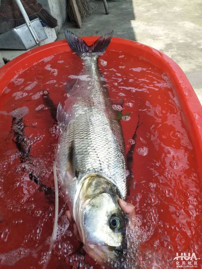 沈陽釣魚去哪_沈陽免費釣場_沈陽免費釣魚地點